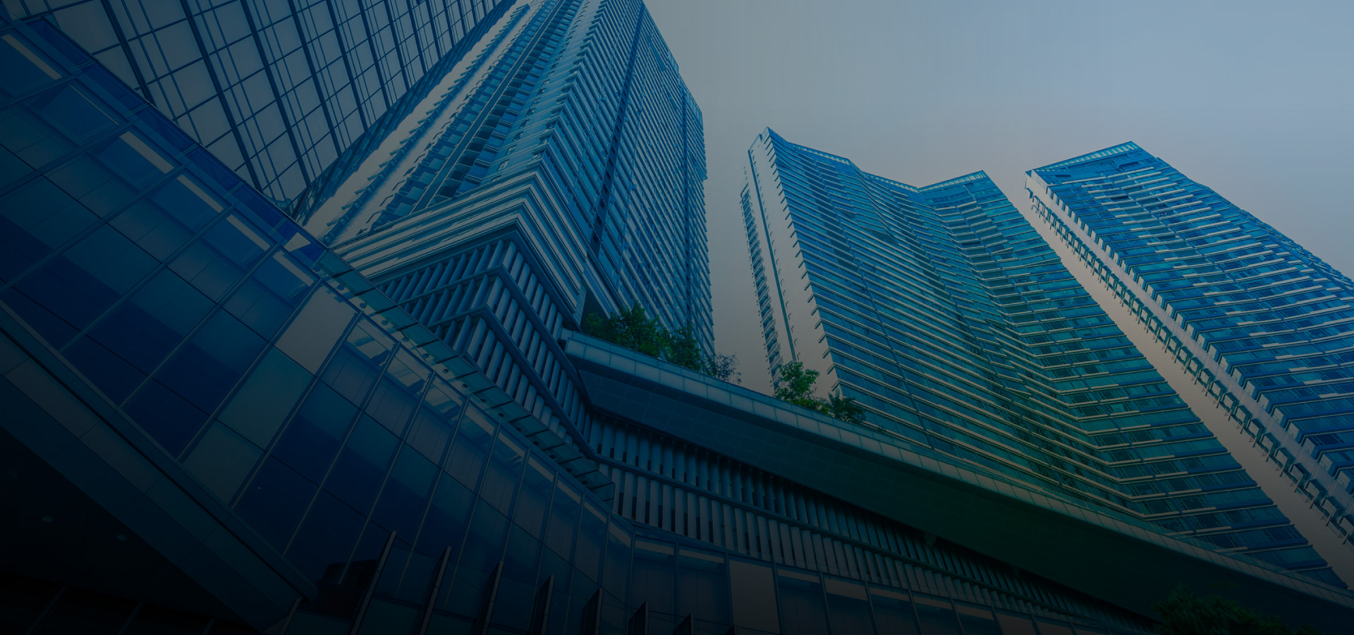 Institutional Customers - Bison Bank